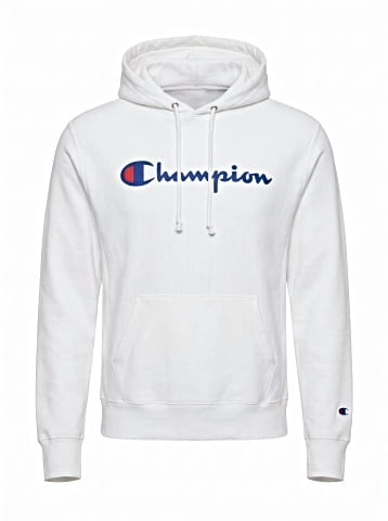 Champion Pullover Hoodie (view 1)