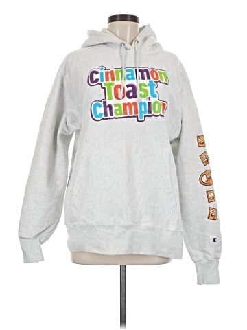Champion Pullover Hoodie (view 1)