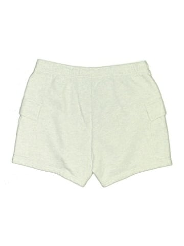 Aritzia Shorts (view 2)
