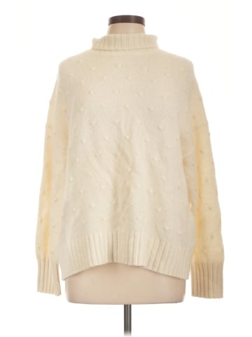 Everlane Turtleneck Sweater (view 1)