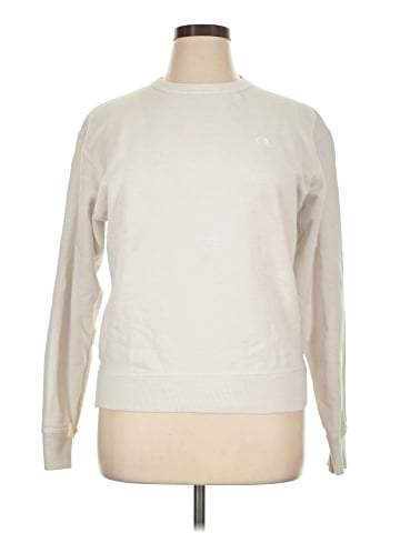 Champion Sweatshirt (view 1)
