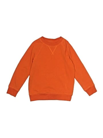 Primary Clothing Sweatshirt (view 1)