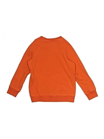 Primary Clothing Sweatshirt (view 2)