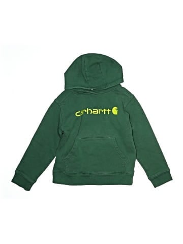 Carhartt Zip Up Hoodie (view 1)