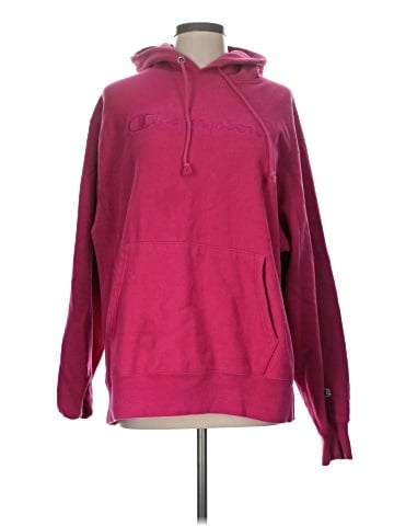 Champion Pullover Hoodie (view 1)