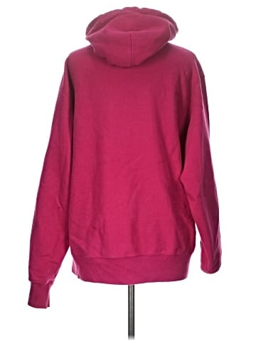 Champion Pullover Hoodie (view 2)