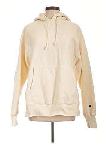 Champion Pullover Hoodie (view 1)