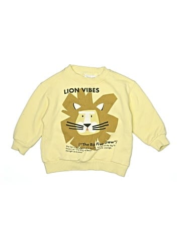Zara Sweatshirt (view 1)
