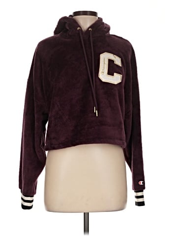 Champion Pullover Hoodie (view 1)