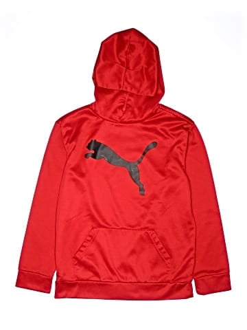 Puma Pullover Hoodie (view 1)