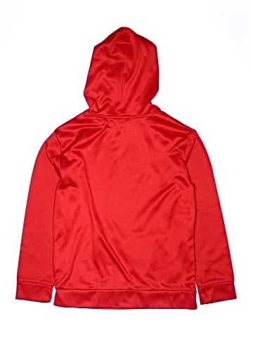Puma Pullover Hoodie (view 2)