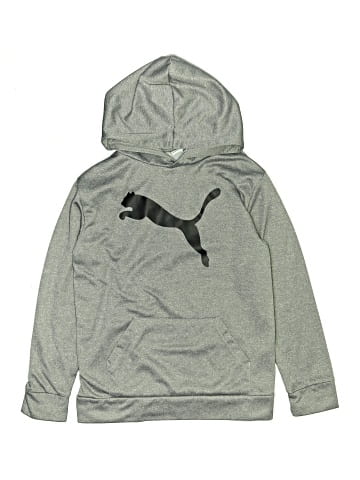 Puma Pullover Hoodie (view 1)