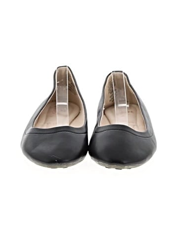 Danskin Flats (view 2)