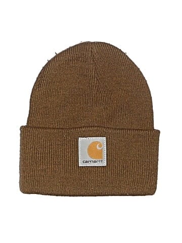 Carhartt Beanie (view 1)