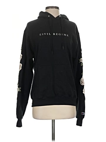 Champion Pullover Hoodie (view 1)