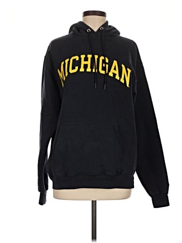 Champion Pullover Hoodie (view 1)