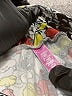 Lularoe Print Silver Active Pants Size 1X (Tall & Curvy) - photo 7
