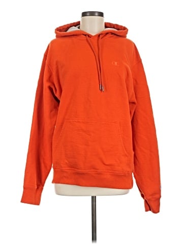 Champion Pullover Hoodie (view 1)
