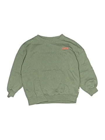 Zara Sweatshirt (view 1)