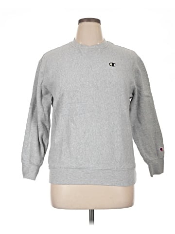 Champion Sweatshirt (view 1)