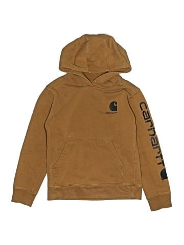 Carhartt Pullover Hoodie (view 1)
