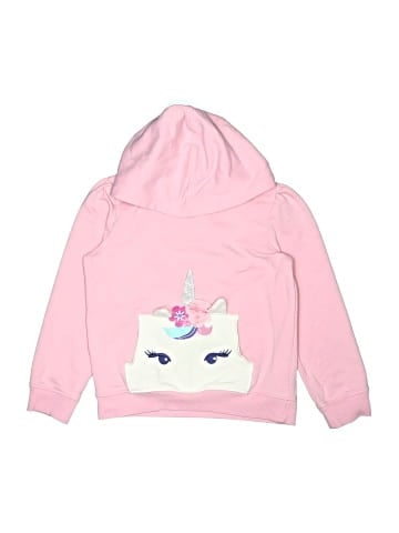 Gymboree Pullover Hoodie (view 1)