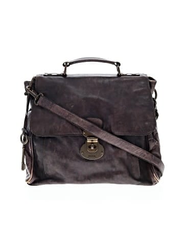 Fossil Messenger (view 1)