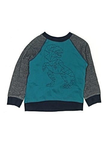 Gymboree Sweatshirt (view 1)