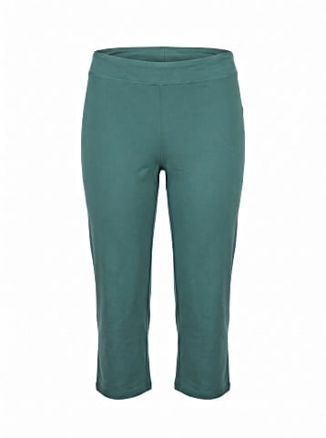 Lands' End Casual Pants (view 1)
