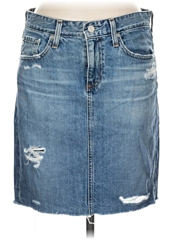 Adriano Goldschmied Denim Skirt (view 1)