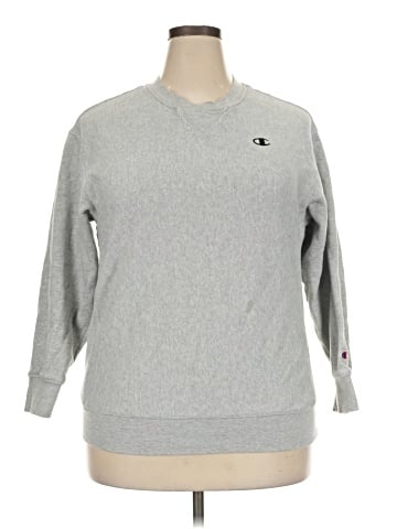 Champion Sweatshirt (view 1)