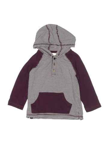Gymboree Zip Up Hoodie (view 1)