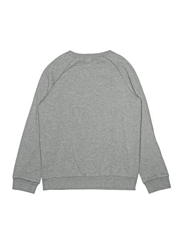 Lands' End Sweatshirt (view 2)