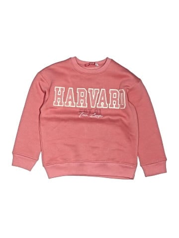 Energiers Sweatshirt (view 1)