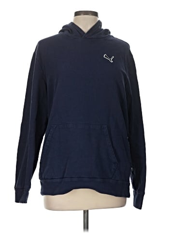 Puma Pullover Hoodie (view 1)