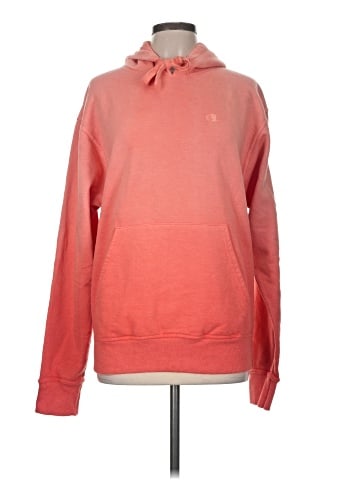 Champion Pullover Hoodie (view 1)