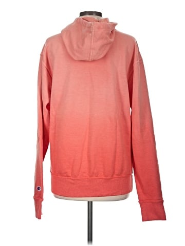 Champion Pullover Hoodie (view 2)