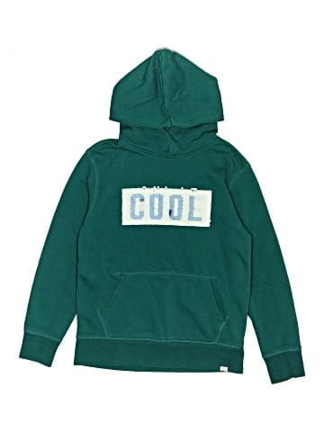 Gap Pullover Hoodie (view 1)