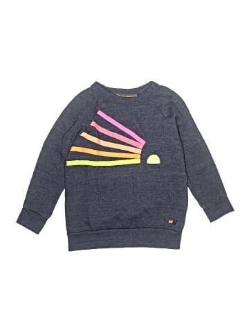 Aviator Nation Sweatshirt (view 1)