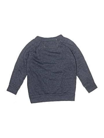 Aviator Nation Sweatshirt (view 2)