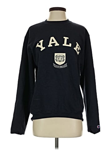 Champion Sweatshirt (view 1)