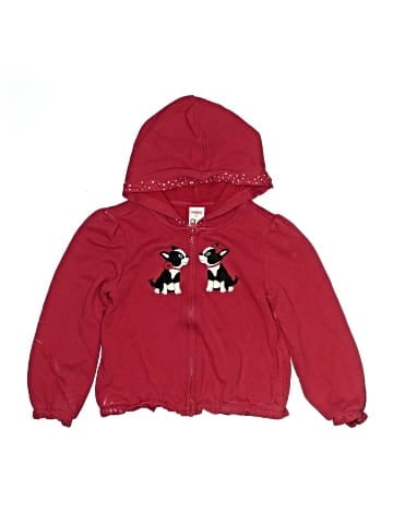 Gymboree Zip Up Hoodie (view 1)